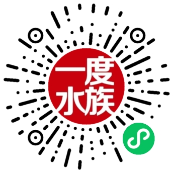 一度水族小程序